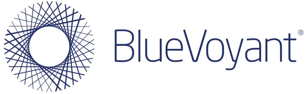 BlueVoyant