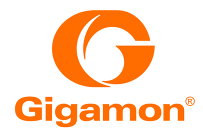 Gigamon